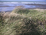 PICT6110.jpg