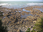 PICT6122.jpg