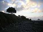 PICT6153.jpg