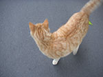 PICT6158.jpg