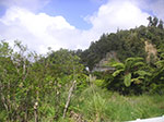 PICT6187.jpg