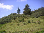 PICT6190.jpg