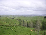 PICT6210.jpg