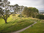 PICT6289.jpg
