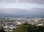 PICT6308.jpg