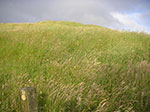 PICT6312.jpg