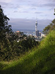 PICT6314.jpg
