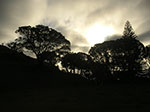 PICT6326.jpg