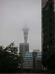 PICT6372.jpg