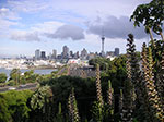 PICT6428.jpg