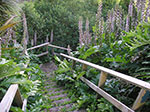 PICT6433.jpg