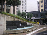 PICT6495.jpg