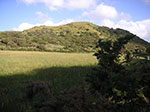 PICT6630.jpg