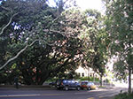 PICT6741.jpg