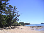 PICT6843.jpg