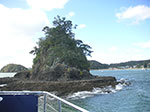 PICT6862.jpg