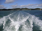 PICT6863.jpg