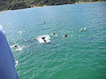 PICT6930.jpg