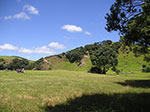 PICT6948.jpg