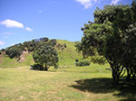 PICT6949.jpg