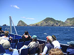 PICT6963.jpg