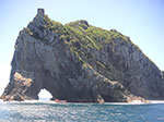 PICT7021.jpg