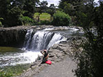 Photos