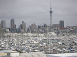 PICT7231.jpg