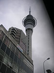 PICT7240.jpg