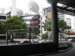PICT7244.jpg