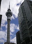 PICT7368.jpg