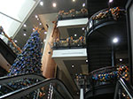 PICT7492.jpg