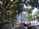 PICT7705.jpg