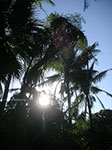 PICT7763.jpg