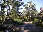 PICT7765.jpg