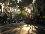 PICT7812.jpg