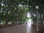 PICT7853.jpg