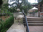 PICT7862.jpg