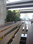 PICT7895.jpg