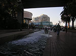 PICT7896.jpg