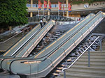 PICT7953.jpg