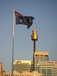 PICT7976.jpg