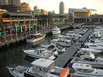 PICT7996.jpg