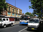 PICT8093.jpg