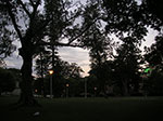 PICT8115.jpg