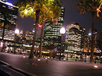 PICT8162.jpg