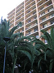 PICT8226.jpg
