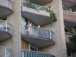 PICT8231.jpg