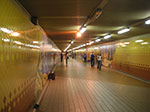 PICT8234.jpg