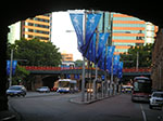 PICT8242.jpg
